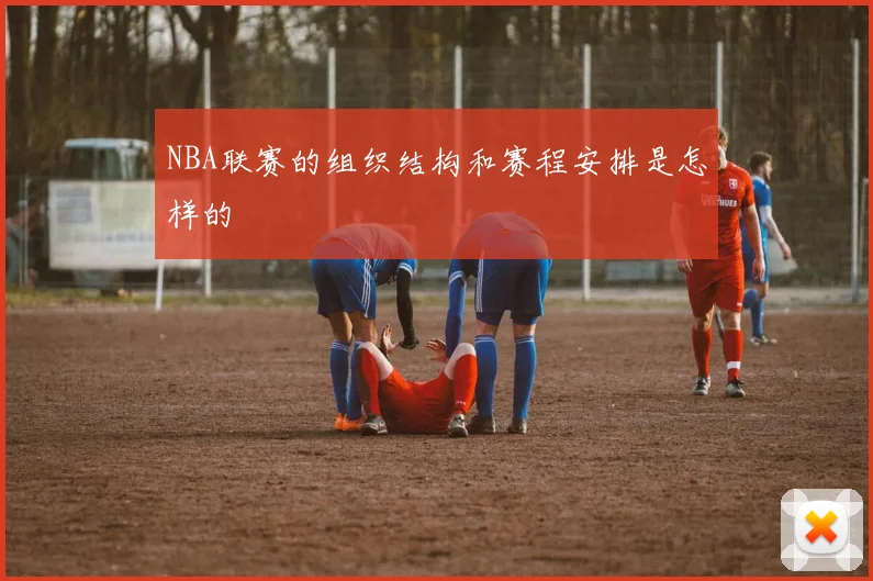 NBA联赛的组织结构和赛程安排是怎样的