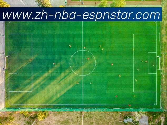 五大联赛直播平台生态图